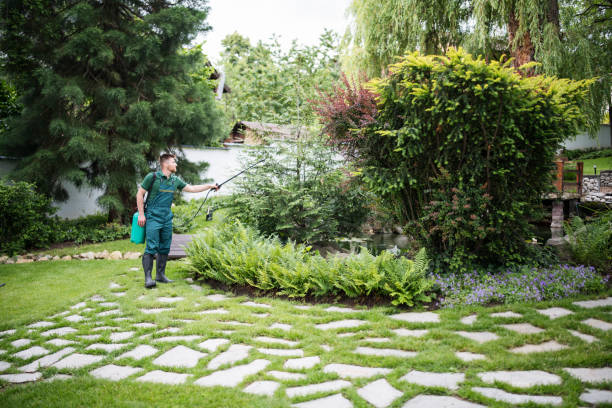 Best Lawn Disease Treatment  in Tulia, TX