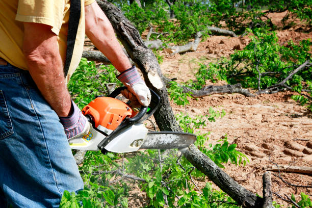Best Weed Control  in Tulia, TX